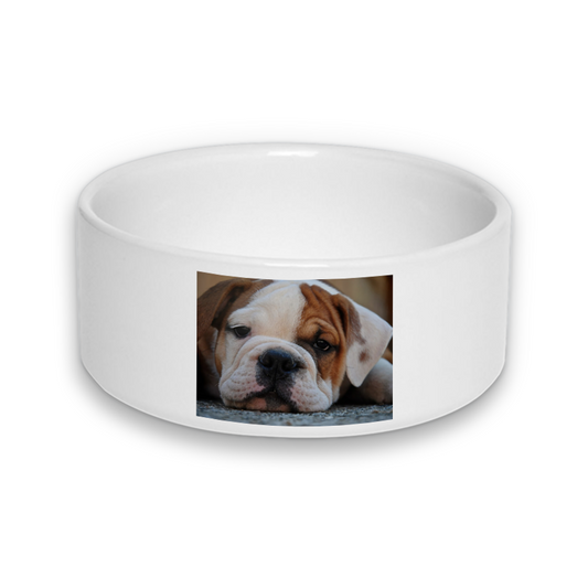 Designly - Bol de nourriture pour animal personnalisable avec vos propres photos ou designs. Exprimez votre style unique avec ce Bol de nourriture pour animal, conçu sur mesure avec vos choix d'images et de designs. Créez un produit unique qui reflète votre individualité. | Customizable Pet Bowl featuring personalized your own photos or designs. Express your unique style with this Pet Bowl, tailor-made with your choice of images and designs. Create a one-of-a-kind  product that reflects your individuality.