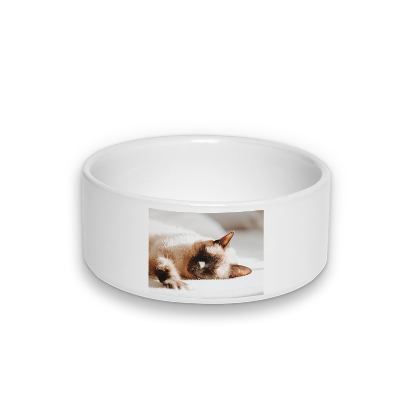 Designly - Bol de nourriture pour animal personnalisable avec vos propres photos ou designs. Exprimez votre style unique avec ce Bol de nourriture pour animal, conçu sur mesure avec vos choix d'images et de designs. Créez un produit unique qui reflète votre individualité. | Customizable Pet Bowl featuring personalized your own photos or designs. Express your unique style with this Pet Bowl, tailor-made with your choice of images and designs. Create a one-of-a-kind  product that reflects your individuality.